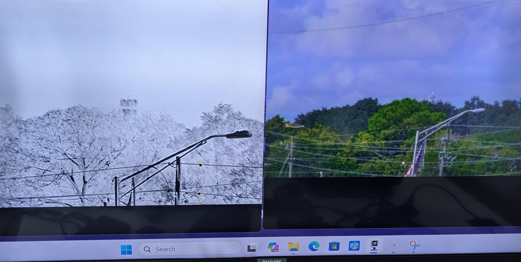 Visible and thermal views of trees and power lines