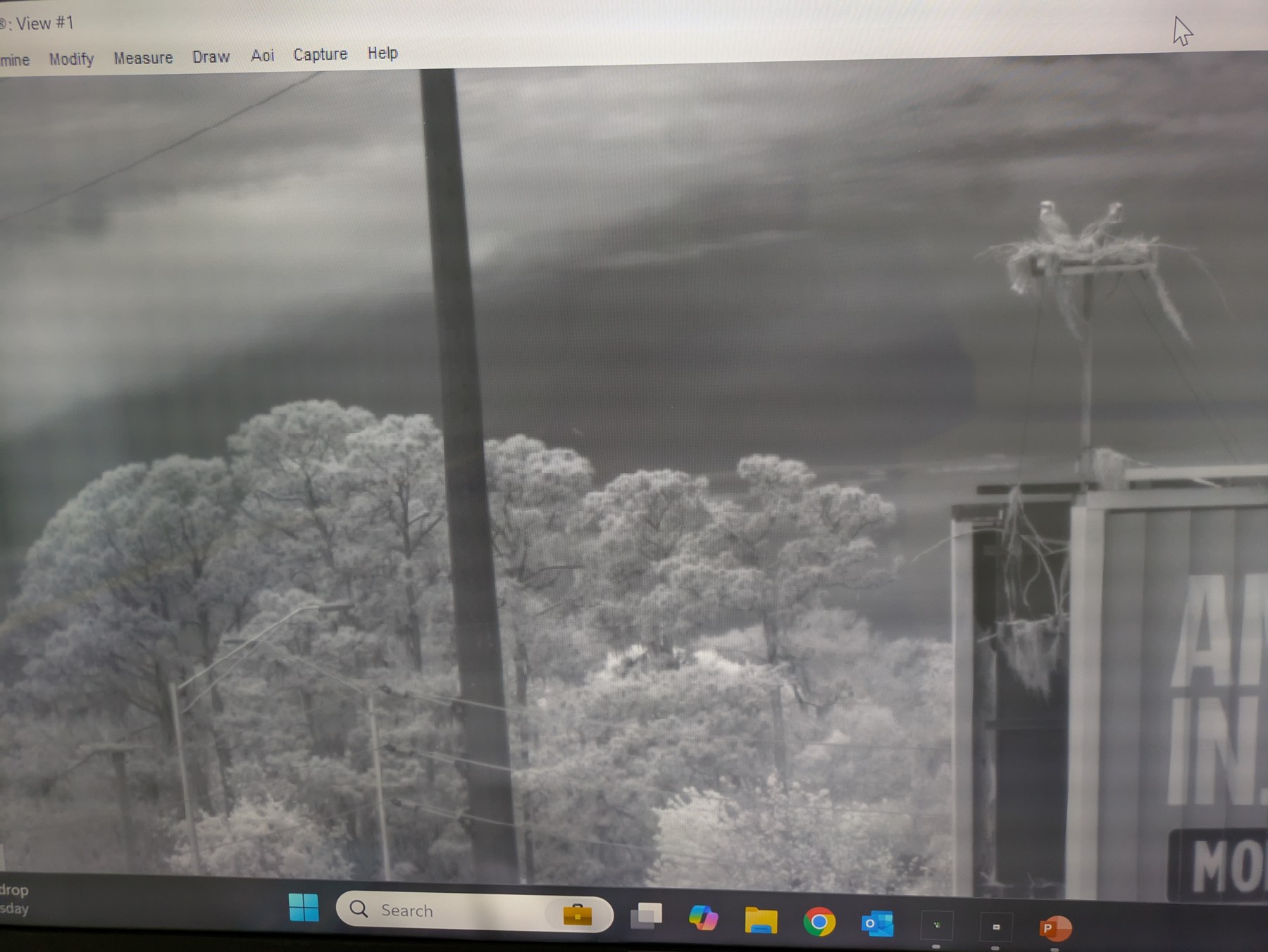 Thermal camera display showing an aircraft